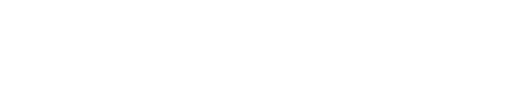 VISIT-X